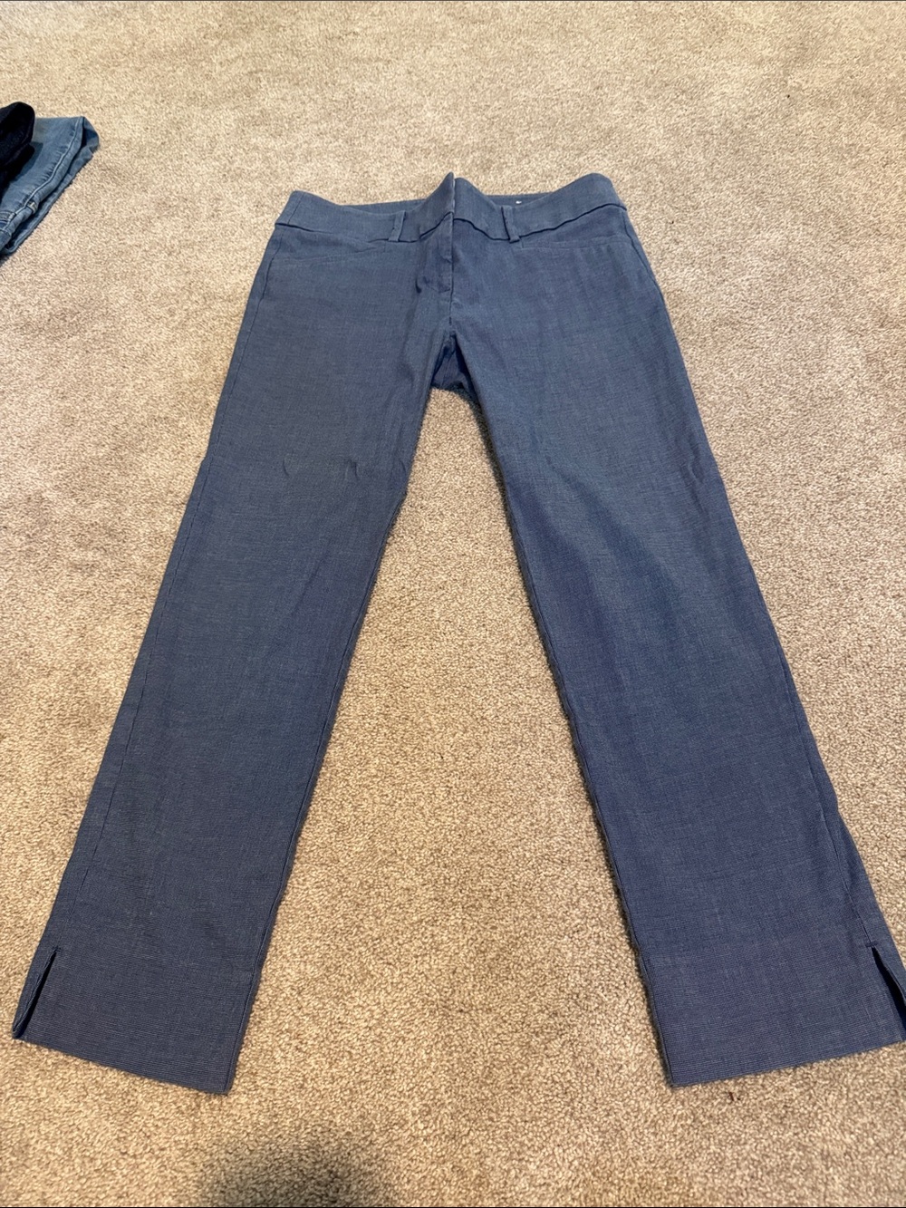 LOFT Navy Women's Straight-Leg Pants